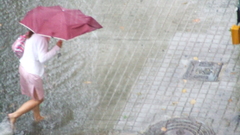 Rain Umbrellas nature