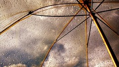 Rain Umbrellas water drops