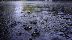 Rain urban