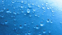 Rain water drops