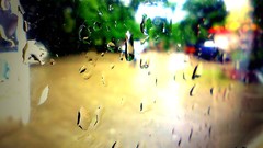 Rain water drops raindrops