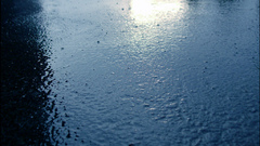 Rain wet ground nature