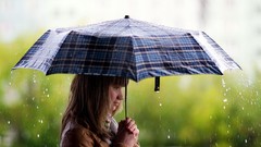 Rain woman Umbrellas outdoors brunettes