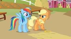 Rainbow dash Applejack My
