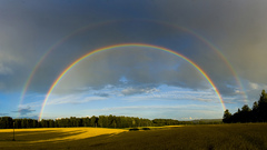 Rainbow natural Tricks nature
