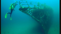 Rainbow warrior The where yeah