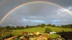 Rainbow waterfalls trade You