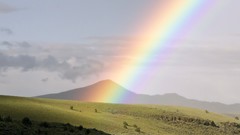 Rainbows