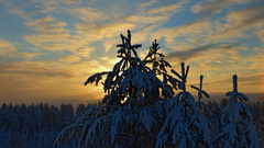 Rajattu rtaken earlier Today