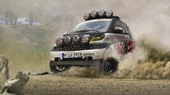 Rally cars