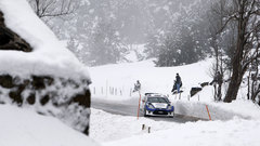 Rally cars racing cars