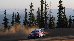 Rally Ford Fiesta Pikes