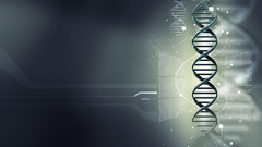 Random plasmid matter here