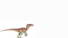 Raptor Animals Dinosaurs