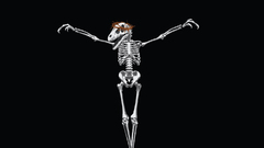 Raptor Jesus Jesus Christ