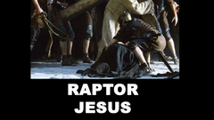 Raptors cross raptor Raptor
