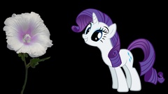 Rarity my little pony
