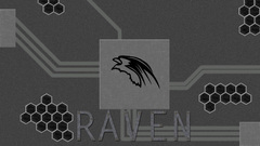 Raven This is The