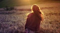 Rays nature sun wheat rye Plants background fields brunettes