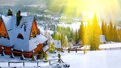 Rays nature Trees snow winter sun glow House cottage cabin 