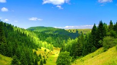 Rays nature Trees sun clouds summer sky Green greenery