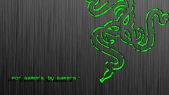 Razer Mr.Tuk For gamers.