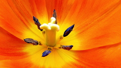 Ready and waiting by