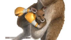 Realistic boxers kangaroos Tekken