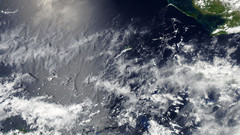 Really liked camerica aqua