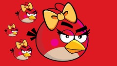 Red angry angry birds Simple Background