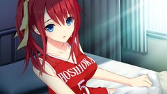 Red Anime beds anime girls blue eyes indoors game cg redheads 