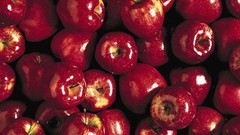 Red apples food fruits tam