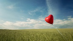 Red Balloons fields skyscapes