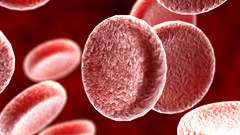 Red biology blood cells