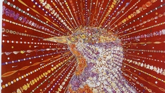 Red bird high Resolution