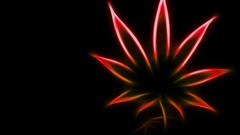 Red black background