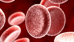 Red blood blood cells