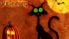 Red cats orange spiders Halloween happy pumpkins