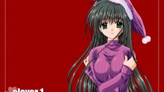 Red Christmas clover