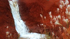 Red dirt Hawaii falls Kauai