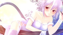 Red eyes anime girls nekomimi tails
