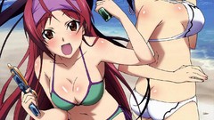 Red eyes Beaches anime girls blue eyes infinite stratos 