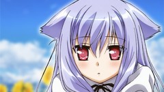 Red eyes nekomimi mayoi neko overrun purple hair kiriya nozomi