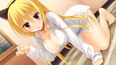 Red eyes shirts blondes long hair anime girls bra nekomimi 