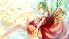 Red eyes short hair green hair touhou kazami yuuka video games