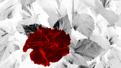 Red Flowers leaves selective