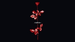 Red Flowers roses Violator