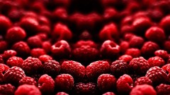 Red fruits raspberries