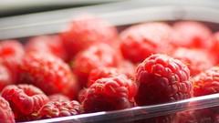 Red fruits raspberries