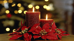 Red Holidays Christmas Candles poinsettia